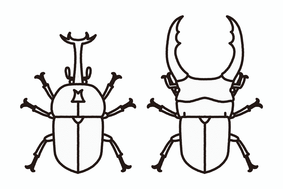 かぶとむしとくわがたむしの見本