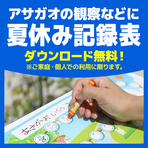 夏休みの記録表、ダウンロード無料（ご家庭・個人での利用に限ります）