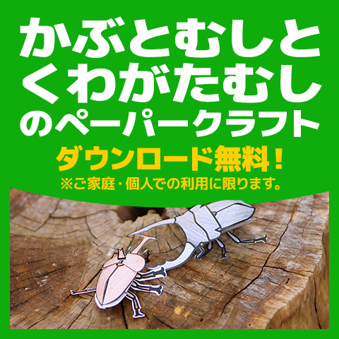 かぶとむしとくわがたむしのペーパークラフト、ダウンロード無料（ご家庭・個人での利用に限ります）